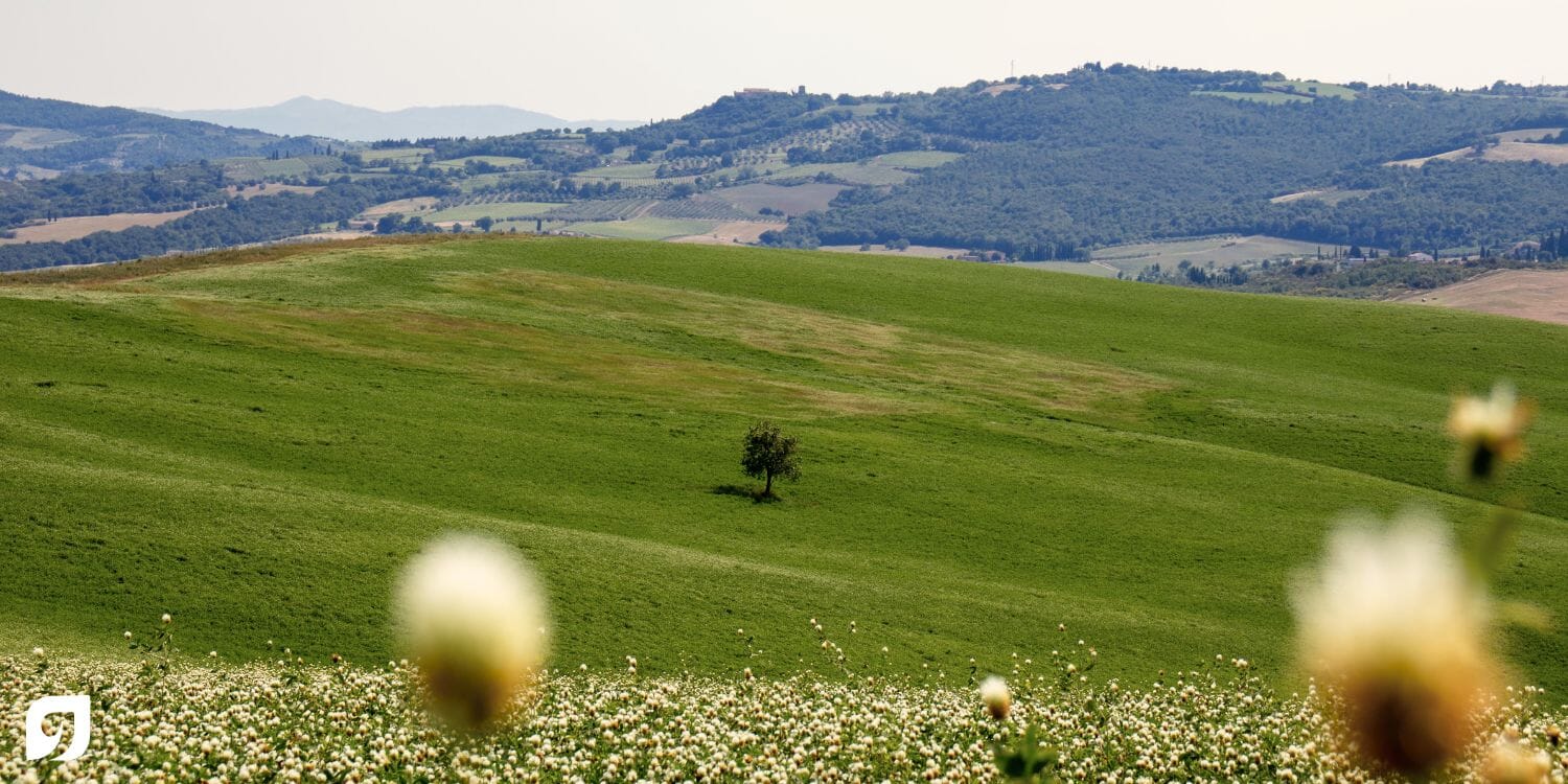 Panorama Val d'orcia